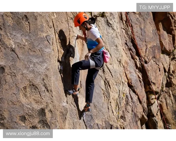 南京攀岩队的团队协作与攀岩技巧的深度融合探讨